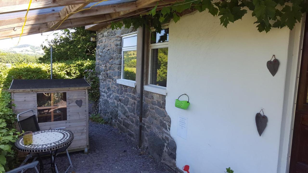 Pen y geulan By Seren Property Machynlleth Bagian luar foto